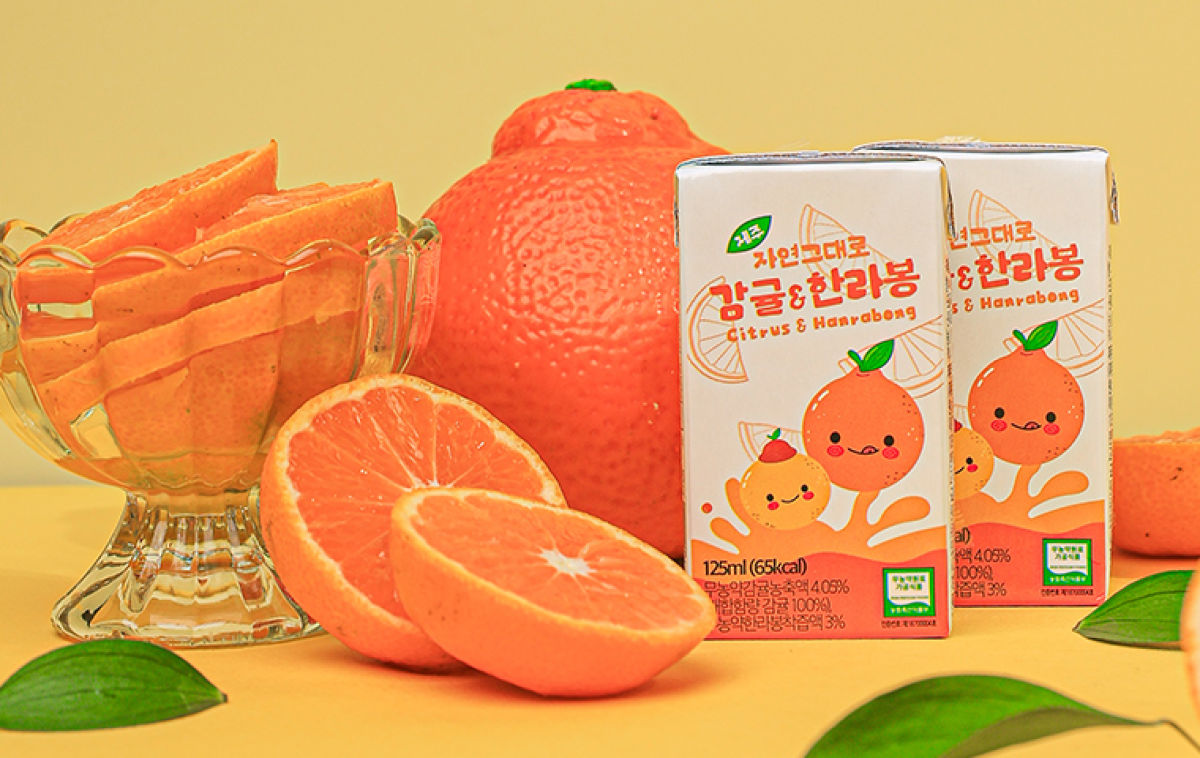 🌿 The Pure Taste of Jeju: Organic Hallabong, Tangerine, and Kiwi🍊🥝 (24ea/box)
