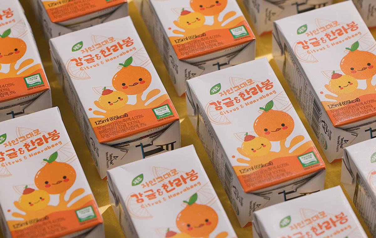 🌿 The Pure Taste of Jeju: Organic Hallabong, Tangerine, and Kiwi🍊🥝 (24ea/box)