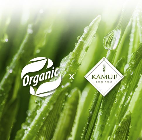 Herb-In Kamut Wheat Enzyme: Nutritional Excellence from Ancient Grains🌾