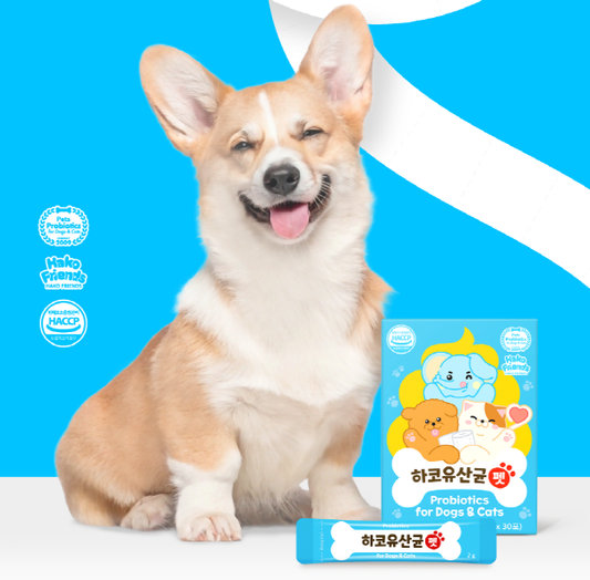 Hako Probiotics for Pets 🐶🐱
