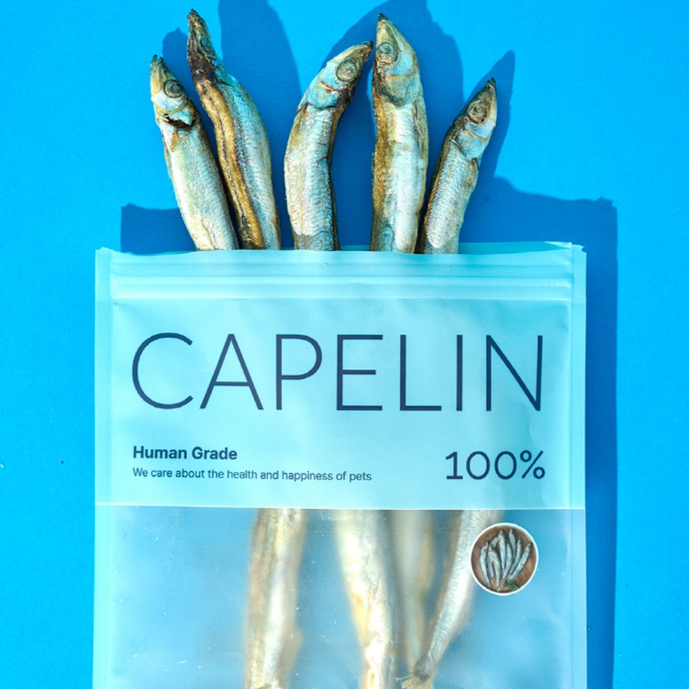 🐶 Snack Uncle Dried Snacks for Pets