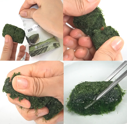 Dried Gamtae(Seaweed) Blocks — Enjoy the Taste of the Ocean 🌊